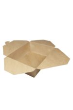 BIO Take-Away kutija 21.6x16x6.4cm