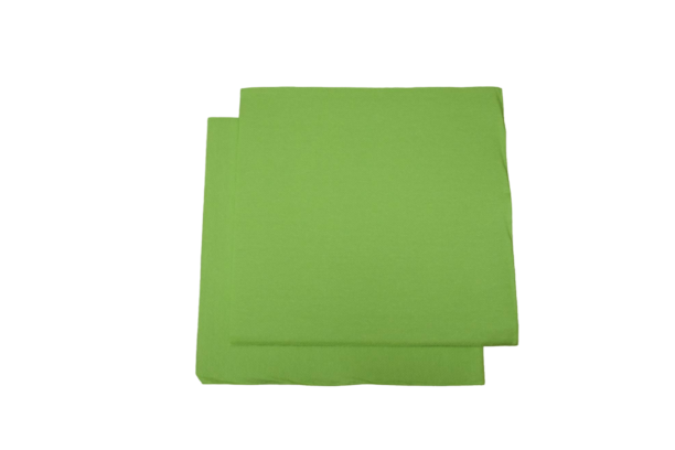 zelene svij Salvete 33x33/50 svijetlo zelena VERDE ANICE/LIMETA 2sl SOFT FLOWER 50 komada u paketu